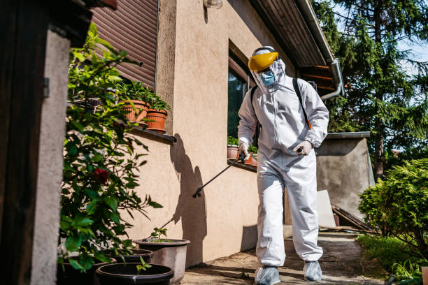 Best Emergency Pest Control  in South Charleston, OH