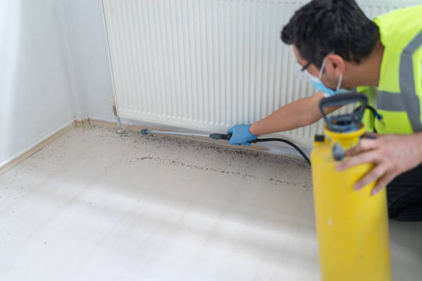 Professional Pest Control in South Charleston, OH